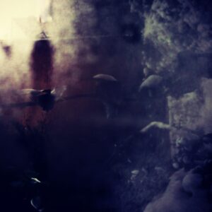 Mirusi Mergina – Whispers Of Danger – Unbound