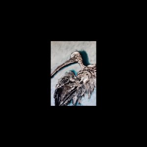 Swerve – S/T